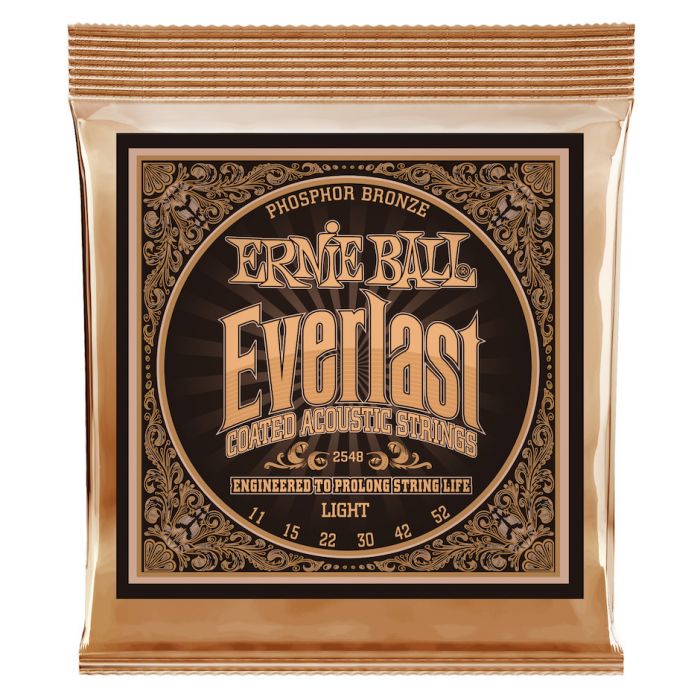 ernie ball 2548